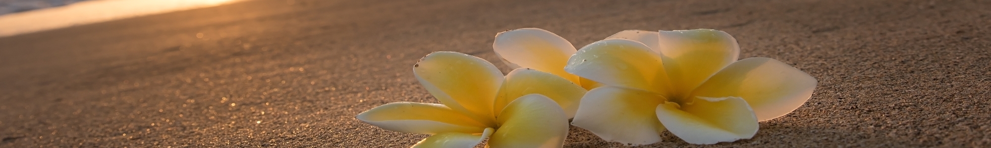 The Luau Factory